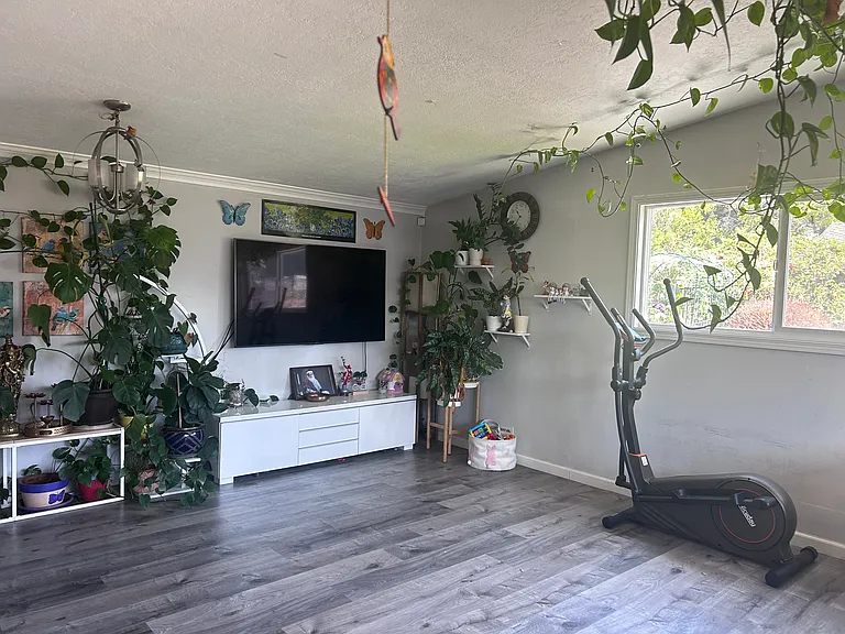 37762 Mosswood Dr — Photo 5