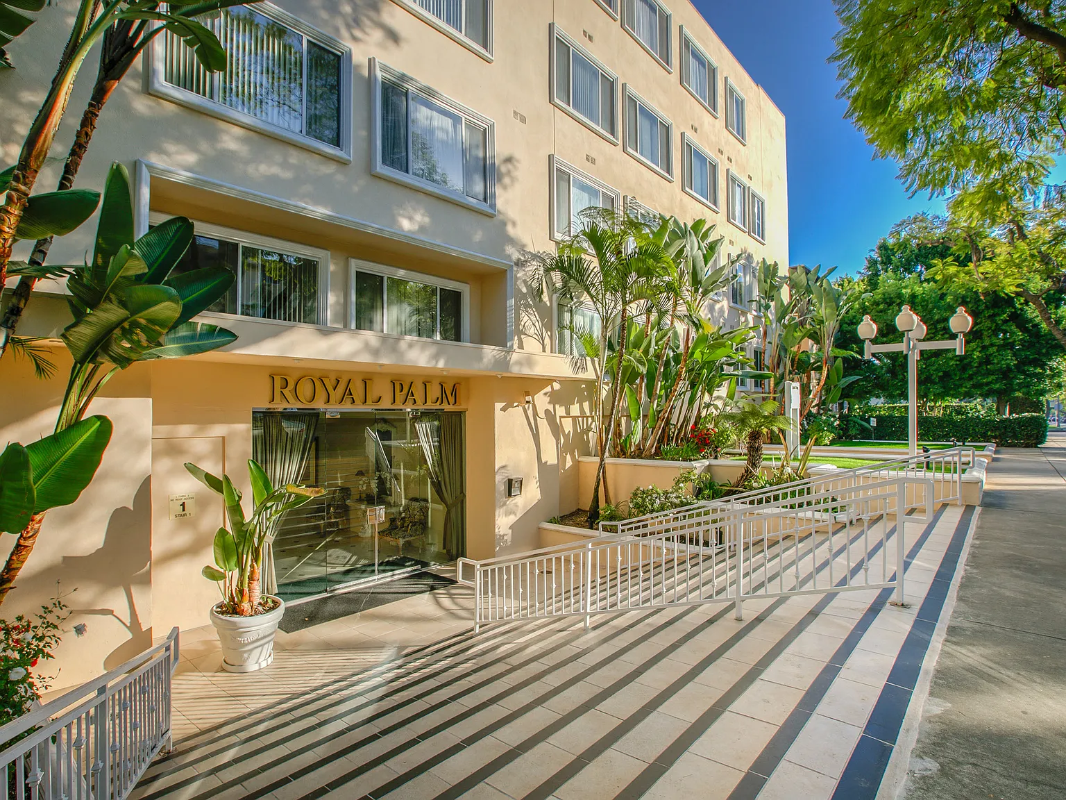 Royal Palm — Photo 4
