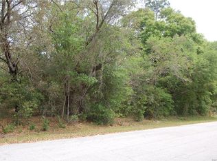 393 E Elgrove Dr, Citrus Springs, FL 34434