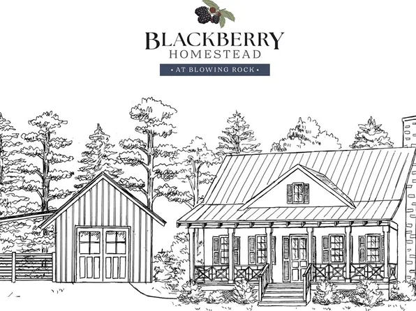 9379 Blackberry Road, Lenoir, NC 28645