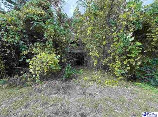 185 Solomon Cir, Nesmith, SC 29580