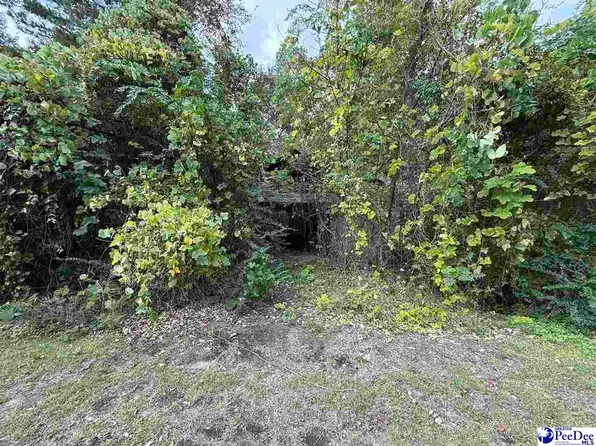 185 Solomon Cir, Nesmith, SC 29580