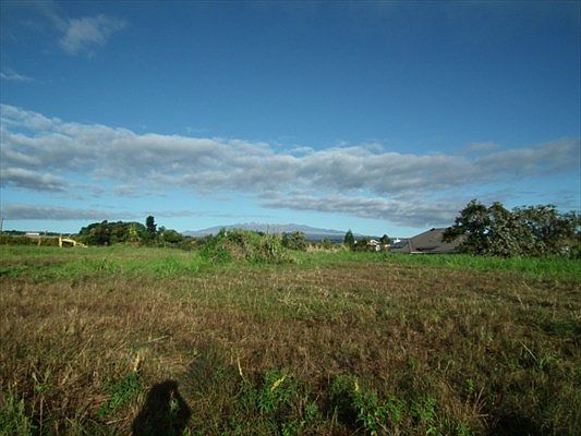 2nd image of 1358 Koaniani St Lot 3