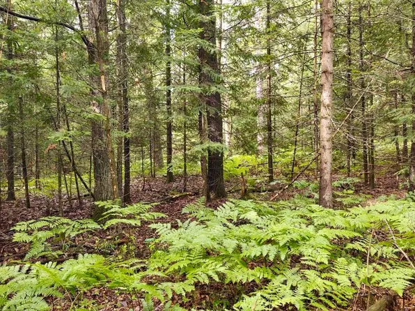 E Shore Dr, Millersburg, MI 49759