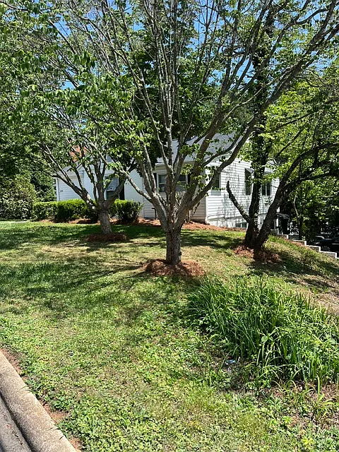 2 bed, 1320 sqft, $1,300 — Photo 2
