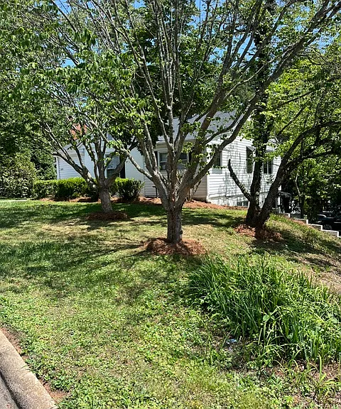 1011 Pennton Ave SW — Photo 2
