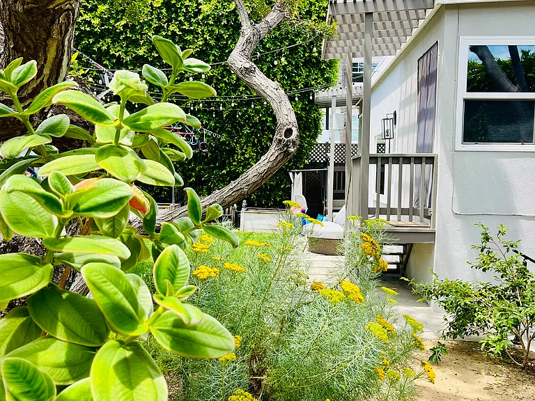 Morningside Dr — Photo 2