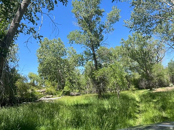 4th image of 863 S Bullion Canyon Rd