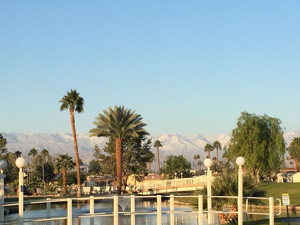 1st image of 84250 Indio Springs Dr Space 136