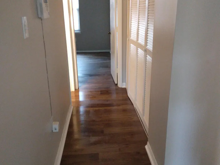 Hallway leading to second bathroom and bedroom. Note closets on the right side for additional storage.