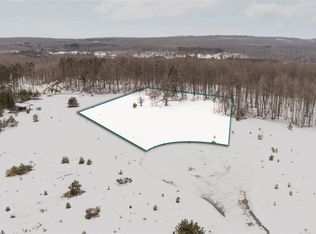 2522 Red Hawk Ct, Harbor Springs, MI 49740