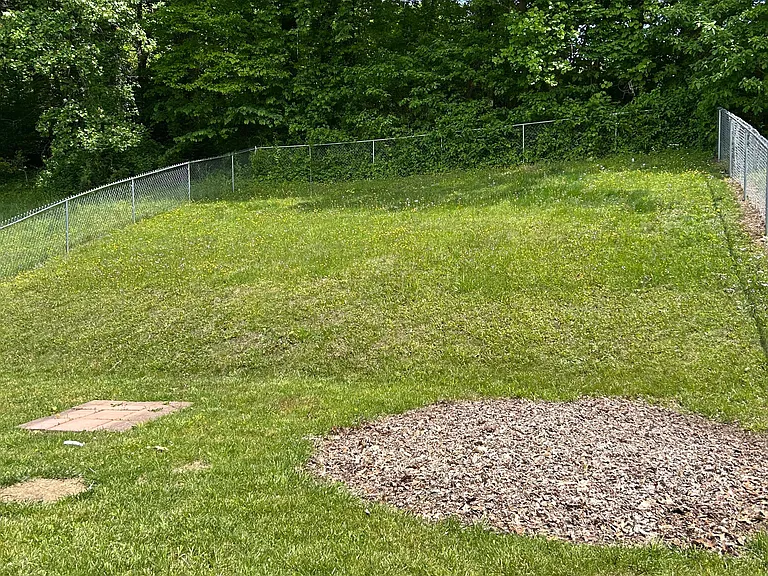 Fenced Backyard