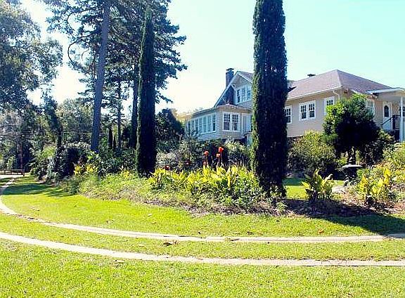 View from the yard
