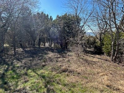 1272 Paint Brush Ct, Whitney, TX, 76692