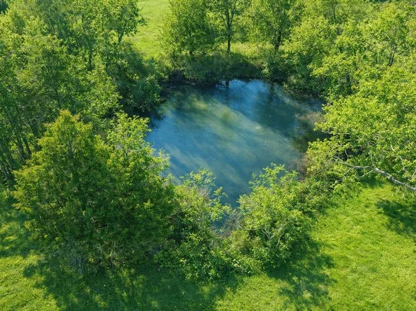 000 County Road 417, Alton, MO 65606