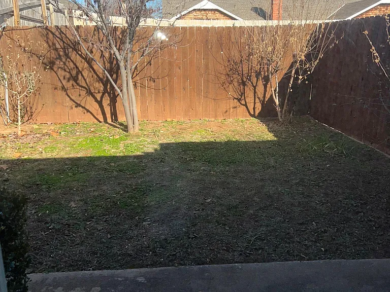 Back yard