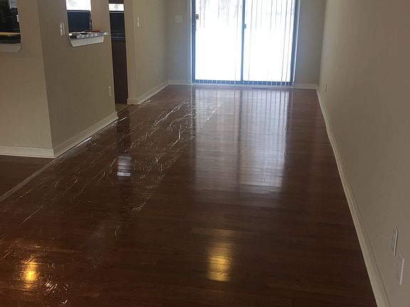 5th image of 113 Amelia Ave