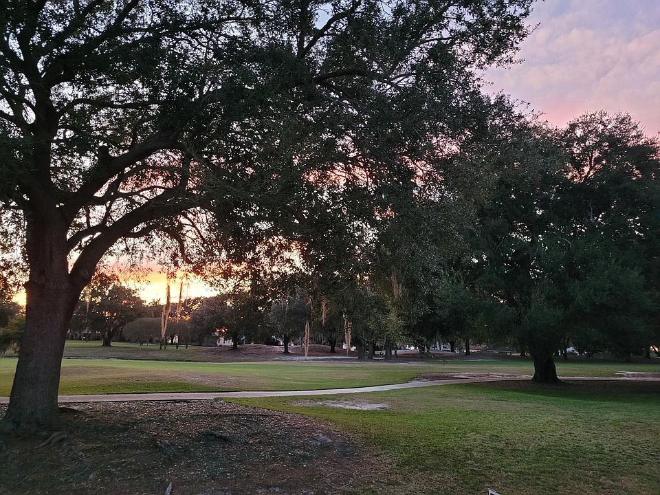 View from the patio