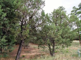 1561 W Huning, Show Low, AZ 85901