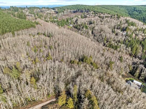 277 Upperwest Road, Castle Rock, WA 98611