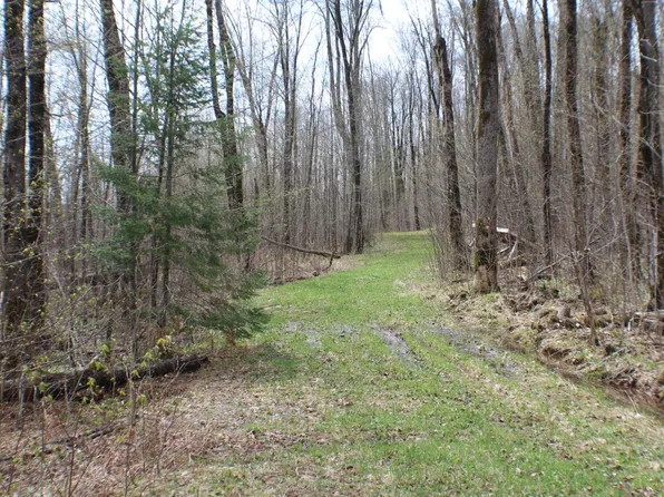 N Doughty Rd, Winter, WI 54896