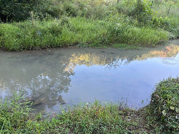 5th image of 1261 Cave Springs Rd