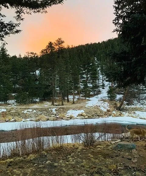 View from your backyard!