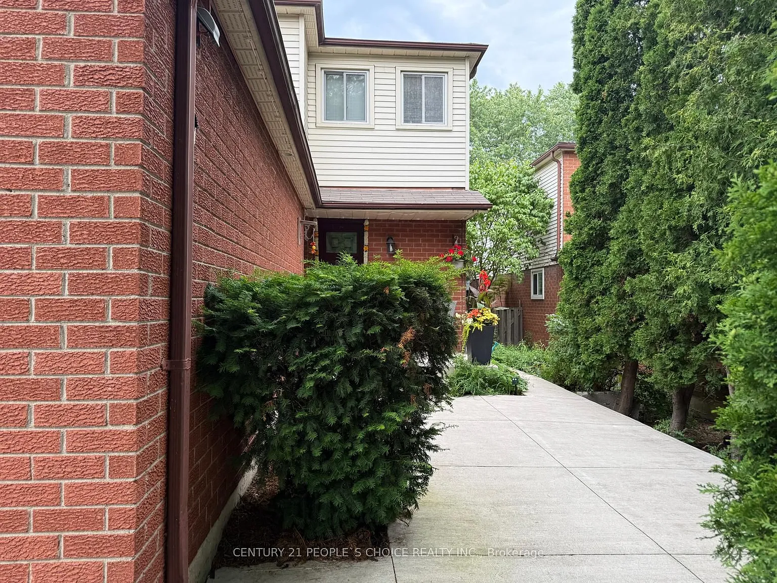 3 bed, $3,400 — Photo 4