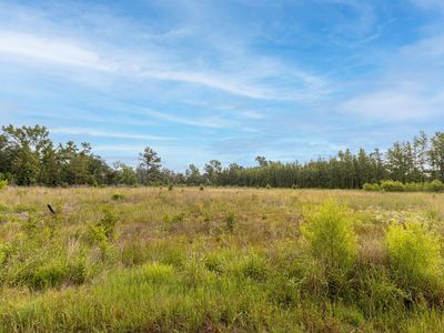 State Highway 64, Ben Wheeler, TX, 75754