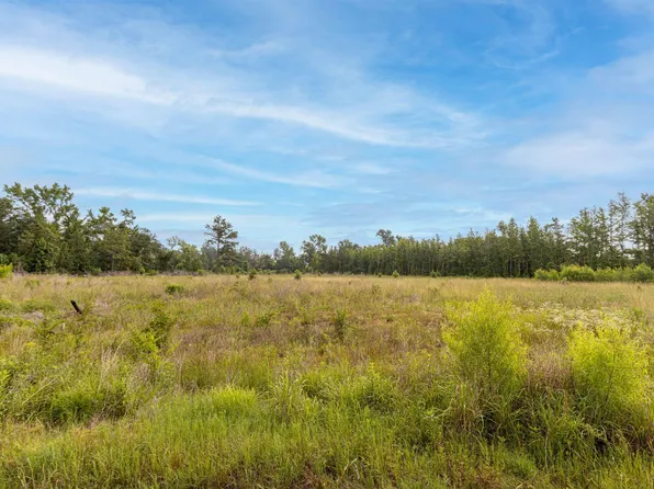 State Highway 64, Ben Wheeler, TX 75754