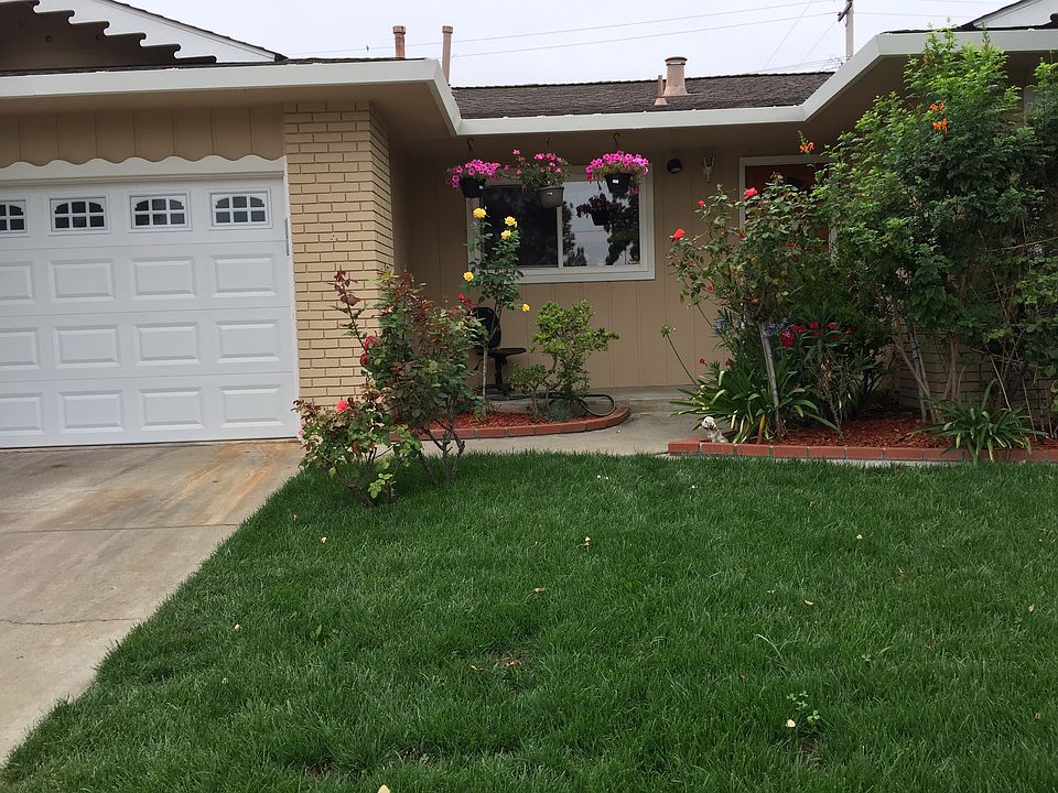 New lawn 