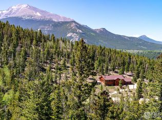 790 S Skinner Rd, Allenspark, CO 80510