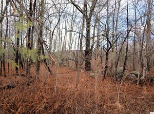 251 Ryan Rd, Hunter, NY 12442