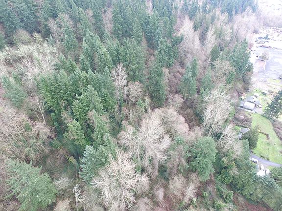 4th image of Xxxx East Valley Hwy