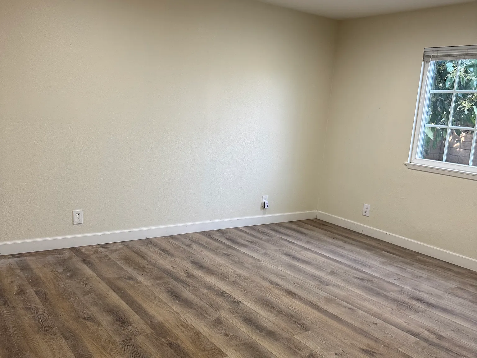 Bressel Ln, Huntington Beach — Photo 3