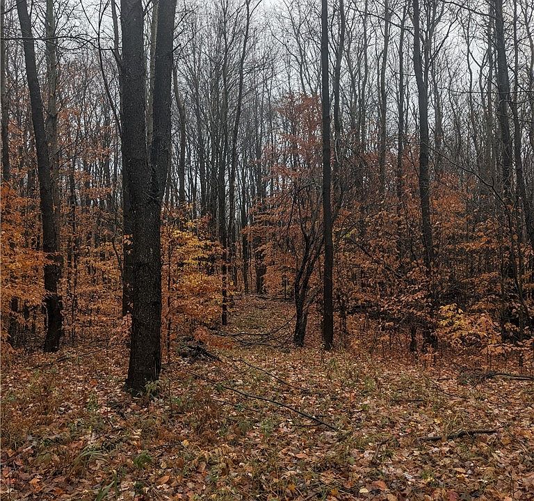 1st image of Vl W Branch Rd #9