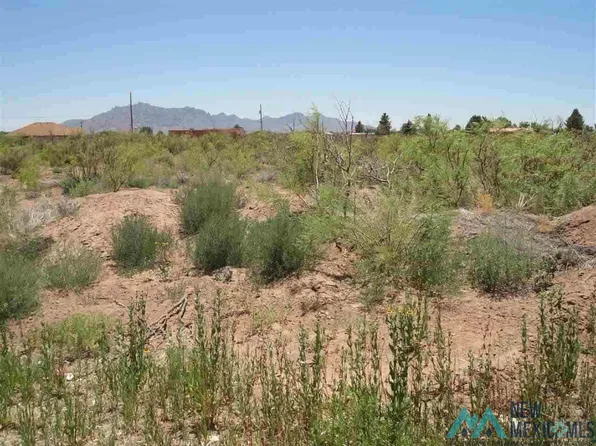 Shelly St, Deming, NM 88030