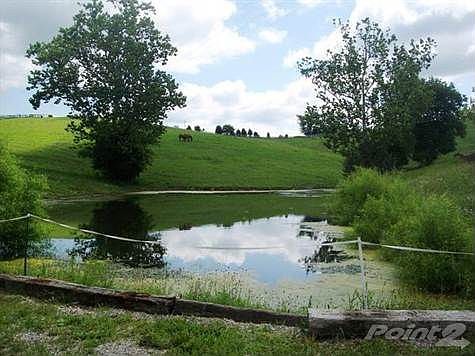 Nice pond on property