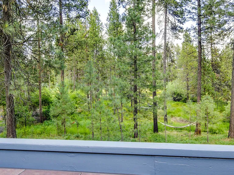 Window View