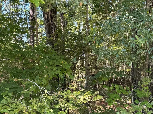 0 Caney Ct Lot 1113, Huntsville, TX 77320