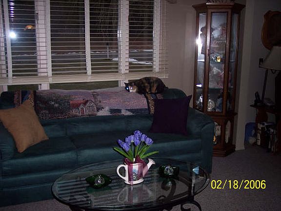 3rd image of 1360 Camden Ave
