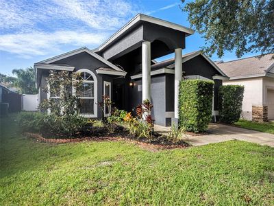 7631 Clovelly Park Pl, Apollo Beach, FL, 33572