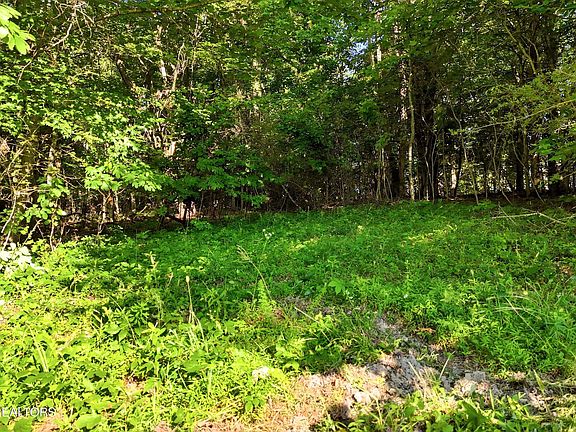 4th image of 0 Daniels Rd #4