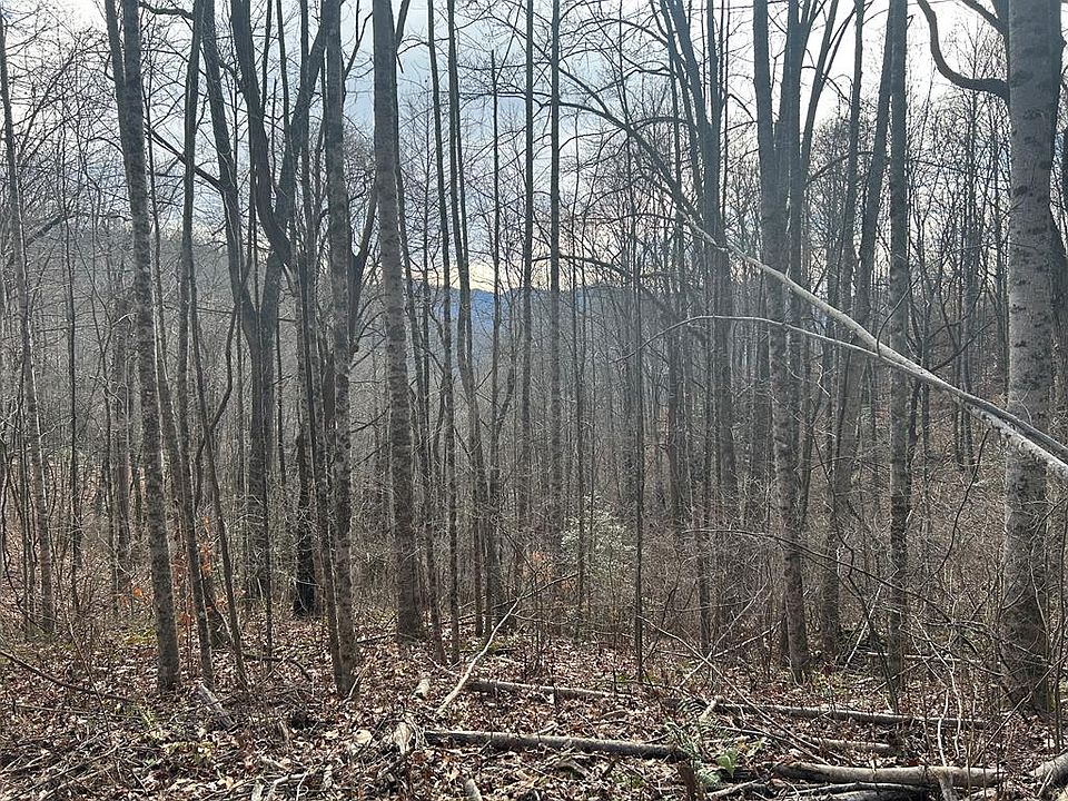 1st image of 5 Pigeon Creek Rd