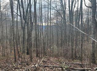 5 Pigeon Creek Rd, Bryson City, NC 28713