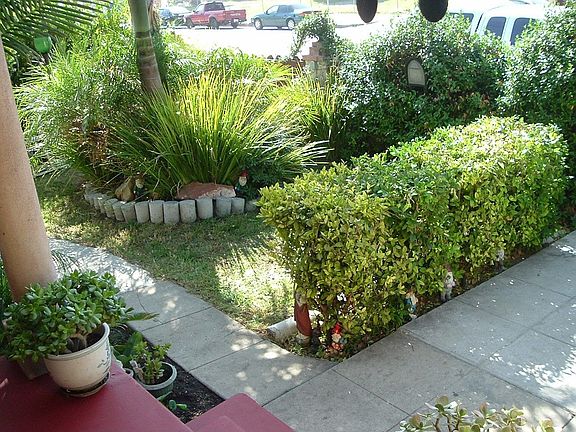 Front Yard