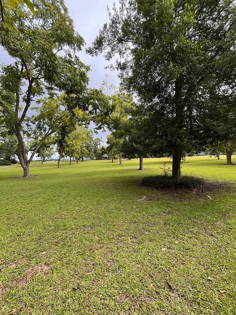 North Lowndes County Home — Photo 4