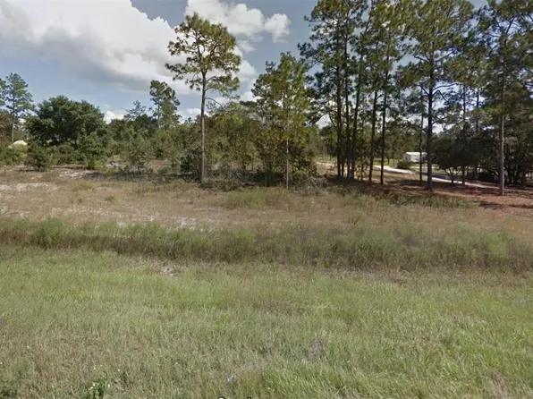 SE State Road 121 Lot 13, Morriston, FL 32668