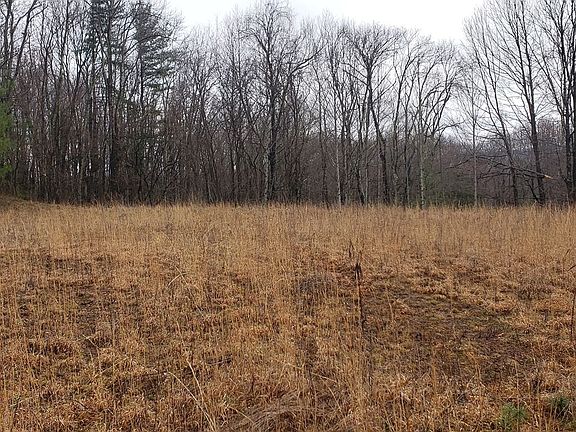 4th image of Richardson Dr