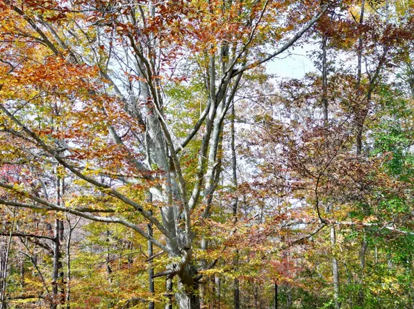 89 Weeping Willow Rd, Beattyville, KY 41311